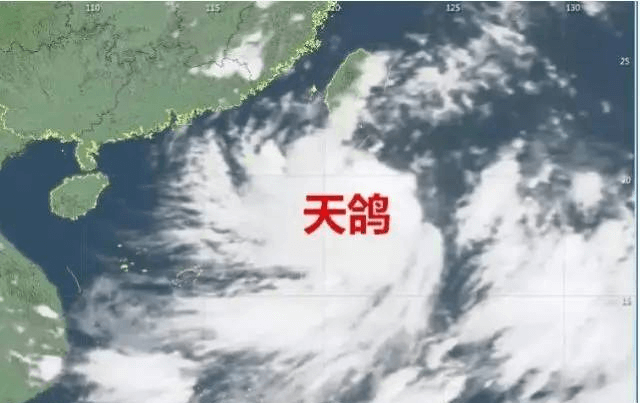 “天鴿”來臨，因安裝低質(zhì)報(bào)警器損失10萬