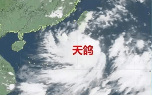 “天鴿”來(lái)臨，因安裝低質(zhì)報(bào)警器損失10萬(wàn)
